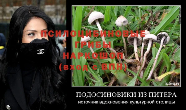 наркотики Новозыбков