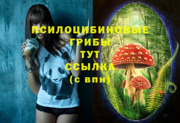 альфа пвп Нея