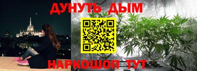дживик Гай
