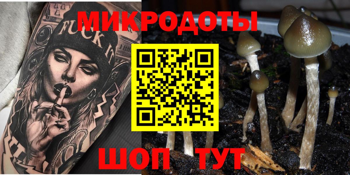 Людиново  Галлюциногенные грибы Magic Shrooms  Вход с VPN  Галлюциногенные грибы прущие грибы 
