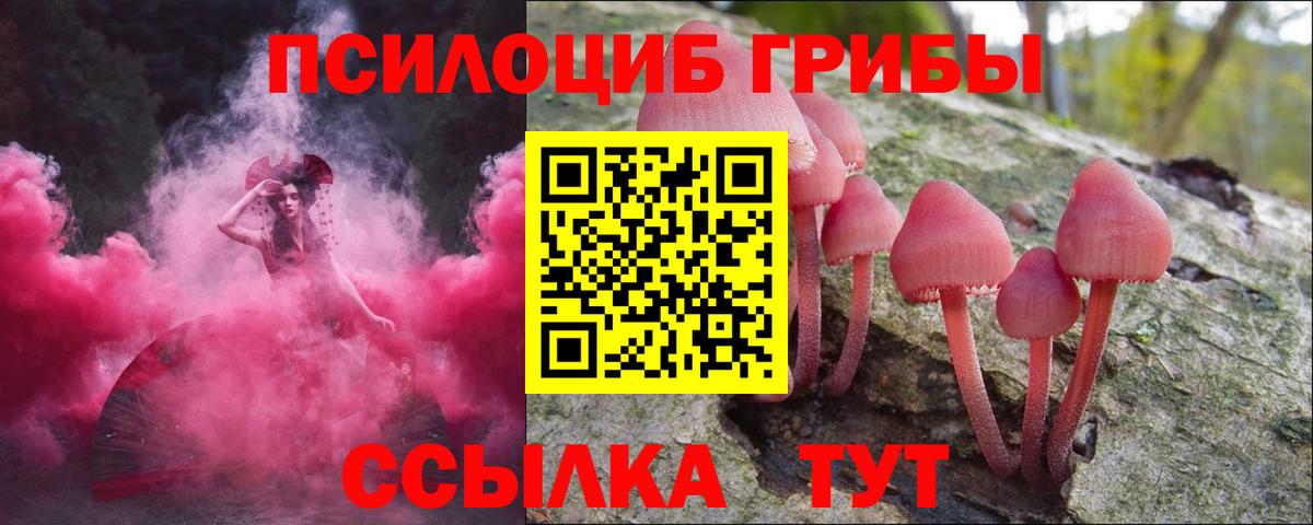 Галлюциногенные грибы ЛСД Людиново